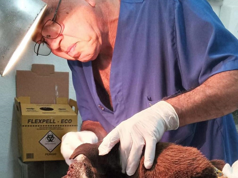 Veterinária Papucaia