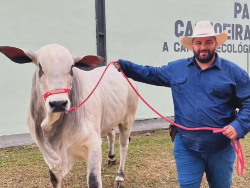 Veterinária Papucaia
