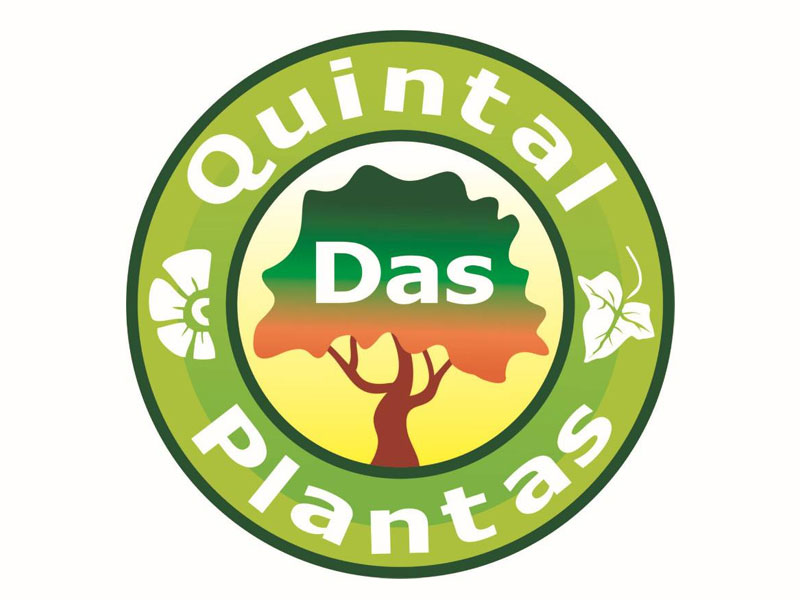 Quintal das Plantas