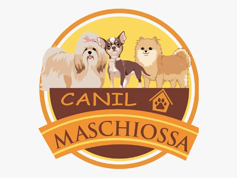 Logo de Canil Maschiossa