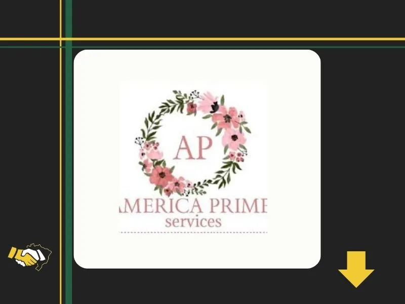 Logo de America Prime Services