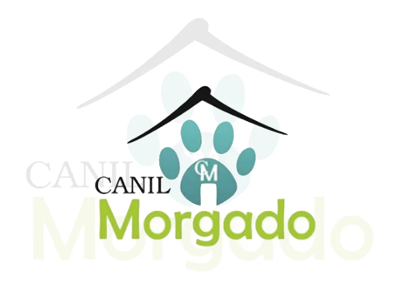 Logo de Canil Morgado