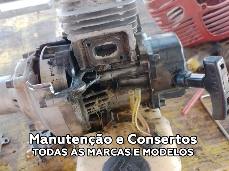 ASP Manutenção