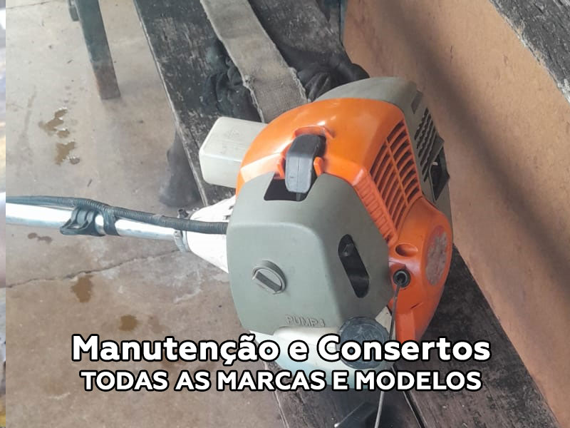 ASP Manutenção