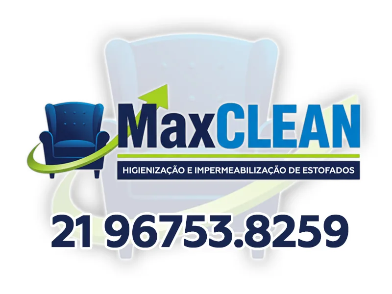 Logo de Max Clean SG