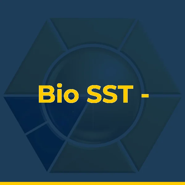 Bio SST - Saúde e Segurança do Trabalho (ASO, Exames Ocupacionais, E-social, PGR e PCMSO)