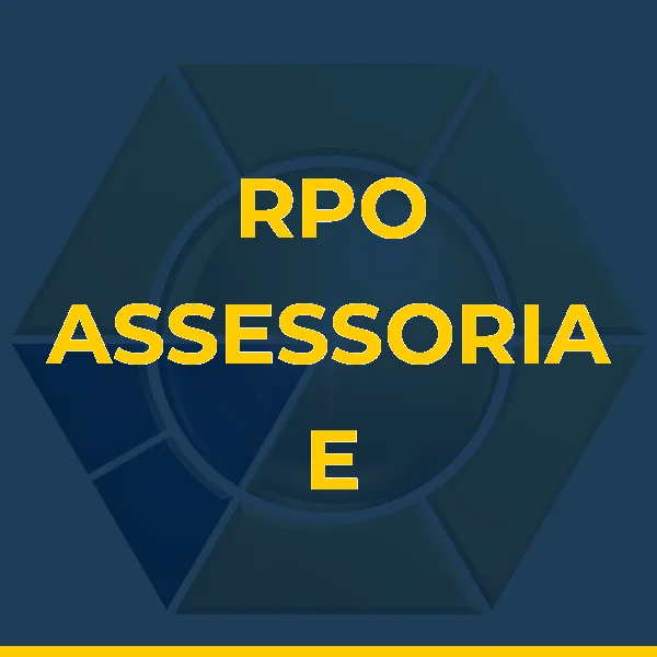 Logo de RPO ASSESSORIA E CONSULTORIA EM COMERCIO EXTERIOR LTDA