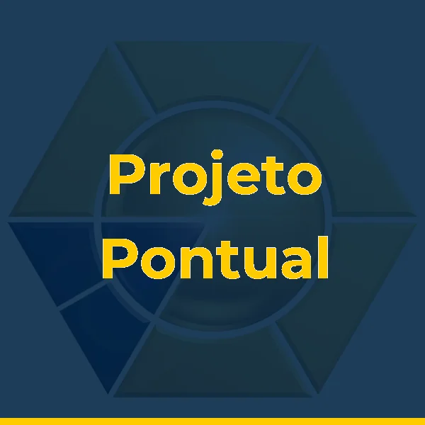 Projeto Pontual