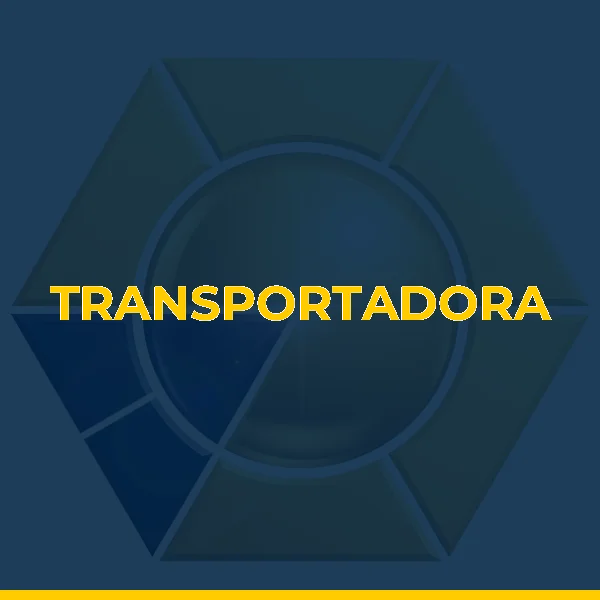 Logo de TRANSPORTADORA TRANSMUDANÇAS LTDA