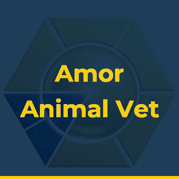 Amor Animal Vet