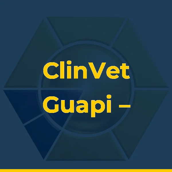 ClinVet Guapi – Clínica Veterinária 24h em Guapimirim