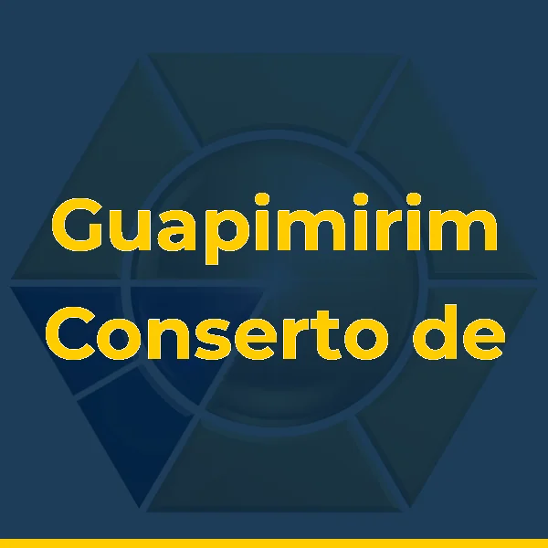 Guapimirim Conserto de Máquina de Lavar e Micro Ondas