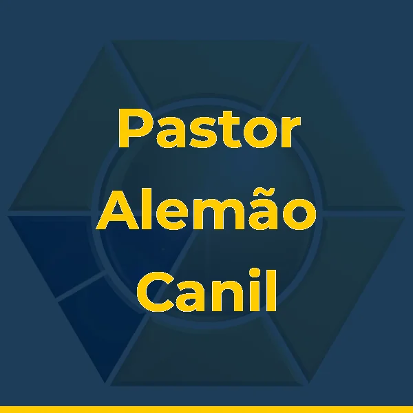 Pastor Alemão Canil Imperador criação e Venda