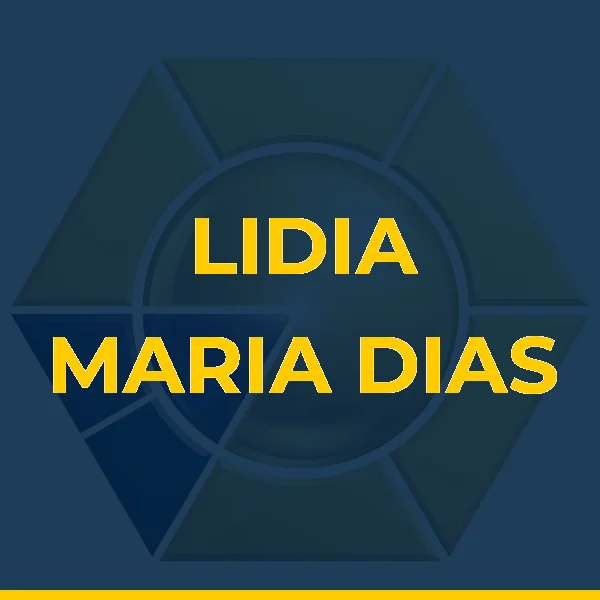 Logo de LIDIA MARIA DIAS DA SILVA NOGUEIRA LTDA
