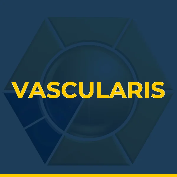 Logo de VASCULARIS - CENTRO DE TRATAMENTO VASCULAR LTDA