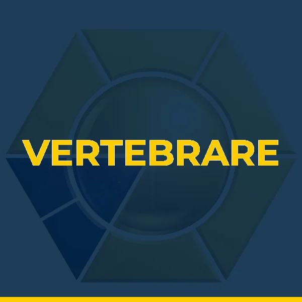 VERTEBRARE