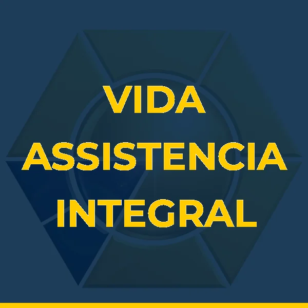 VIDA ASSISTENCIA INTEGRAL A SAUDE