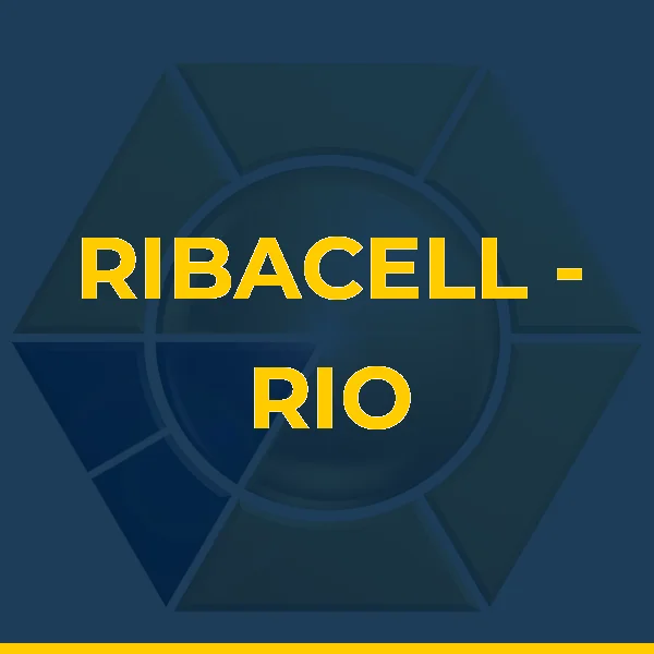 Logo de RIBACELL - RIO BONITO