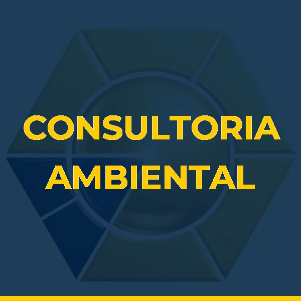 CONSULTORIA AMBIENTAL