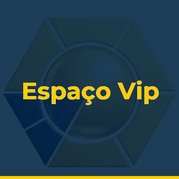 Logo de Espaço Vip