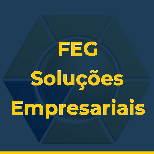 Logo de FEG Soluções Empresariais Ltda