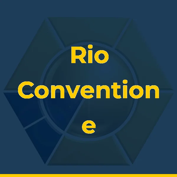 Logo de Rio Convention e Visitors Bureau - Visit Rio