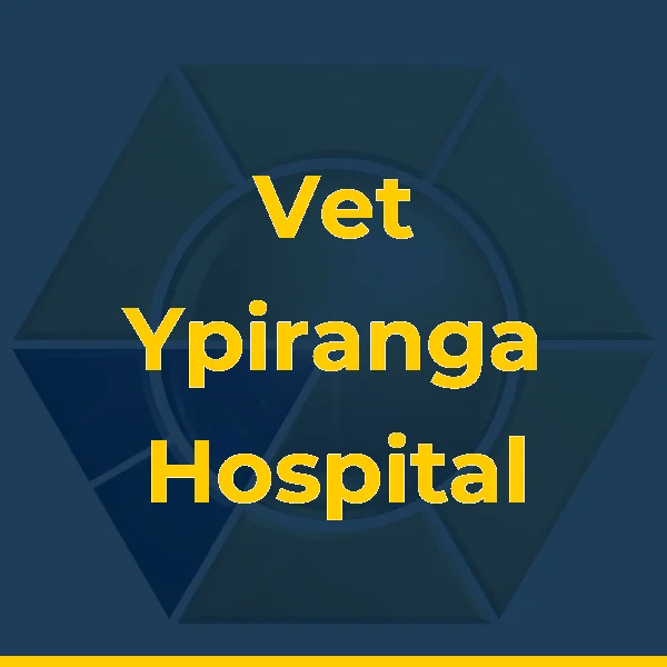 Logo de Vet Ypiranga Hospital & Pet Shop - Unidade Laranjeiras