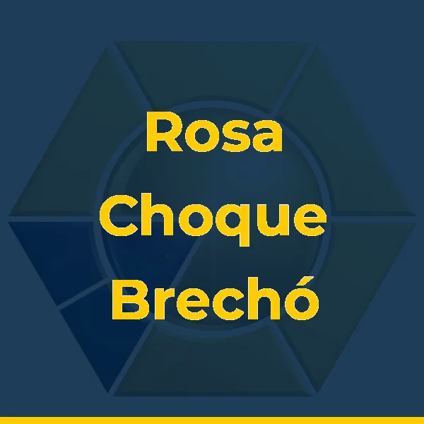 Logo de Rosa Choque Brechó Boutique