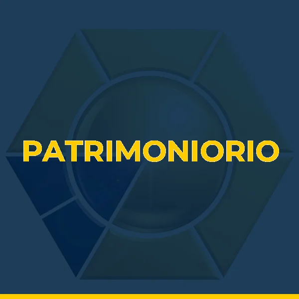 Logo de PATRIMONIORIO