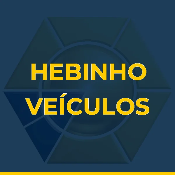 Logo de HEBINHO VEÍCULOS
