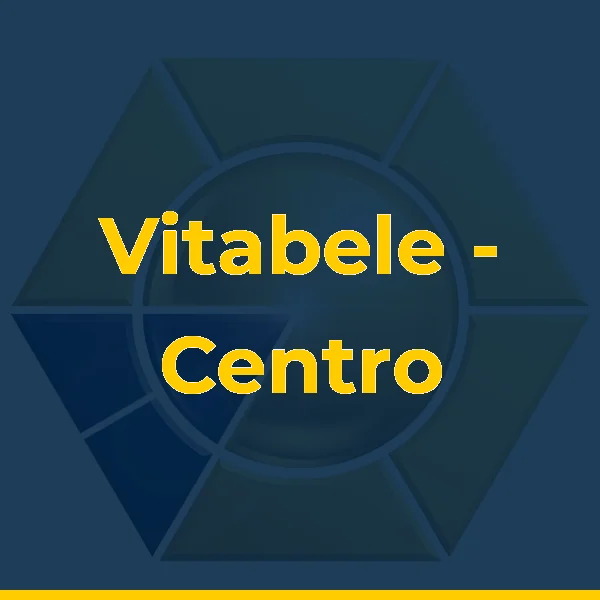 Logo de Vitabele - Centro Integrado de Medicina & Estética
