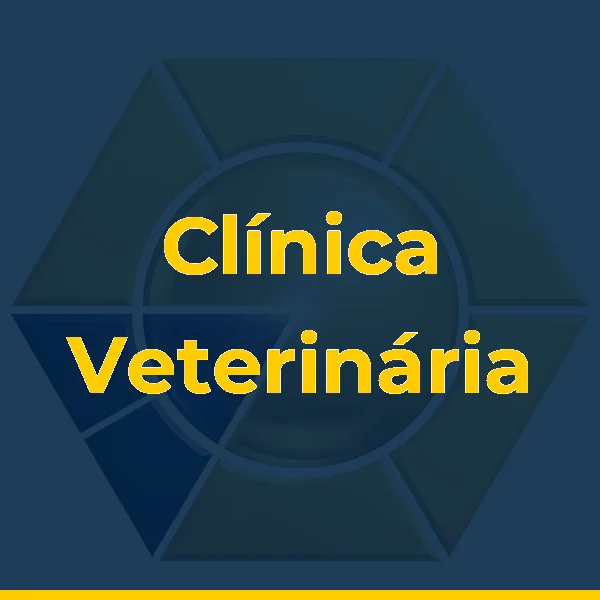 Logo de Clínica Veterinária Apaixonados Por Quatro Patas - Unidade Nova Friburgo