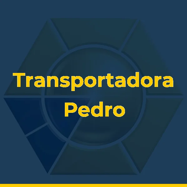 Logo de Transportadora Pedro Ernesto