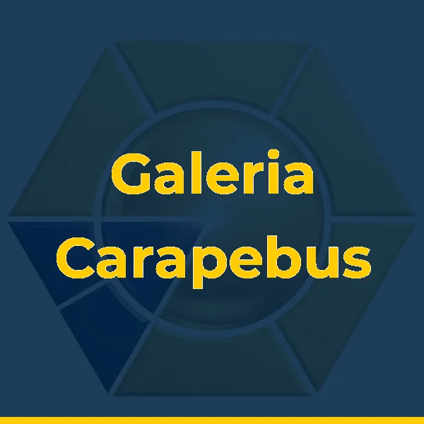 Logo de Galeria Carapebus