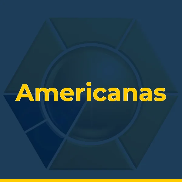 Logo de Americanas
