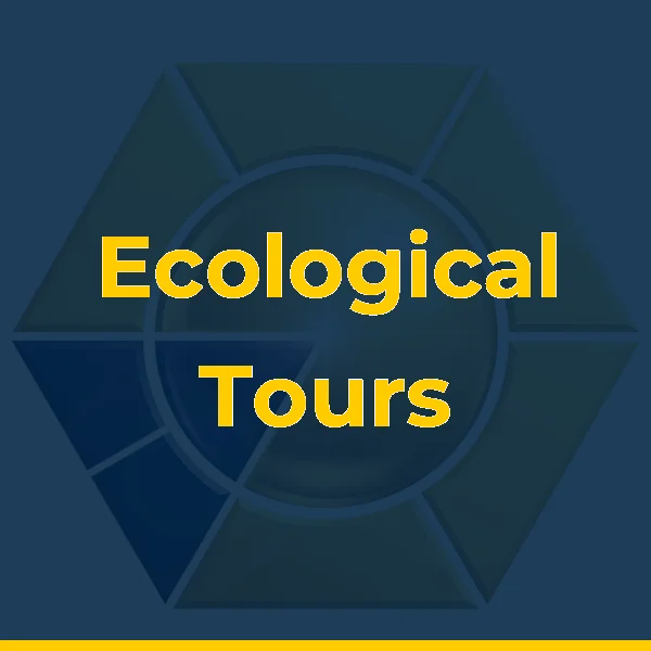 Ecological Tours