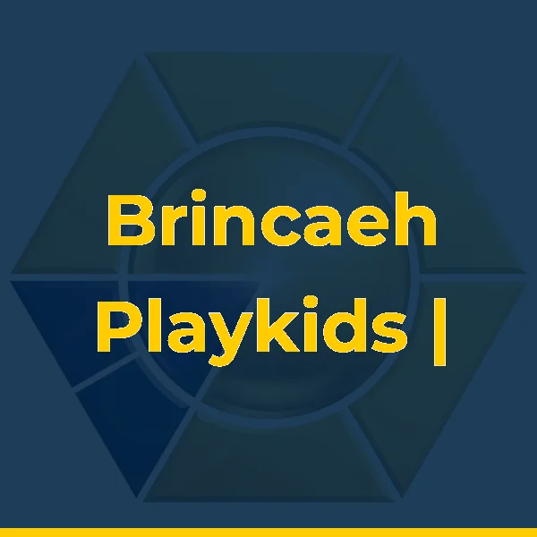 Brincaeh Playkids | Festas e Playground Macaé