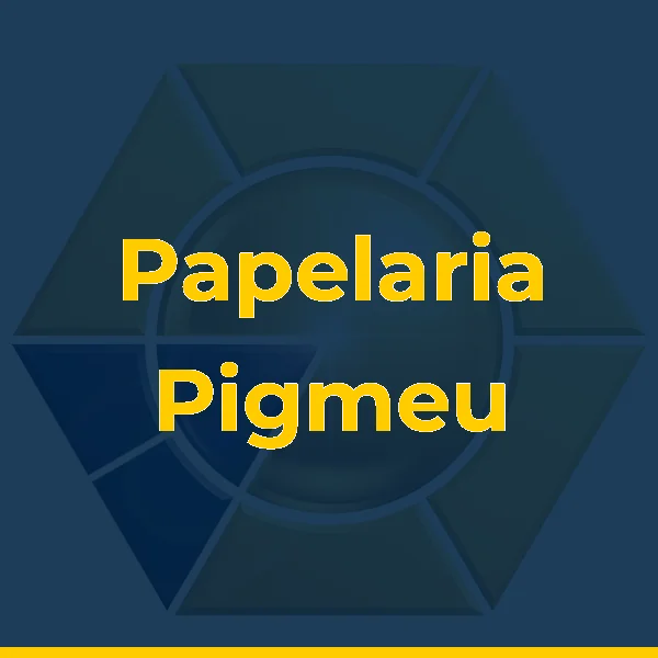 Papelaria Pigmeu