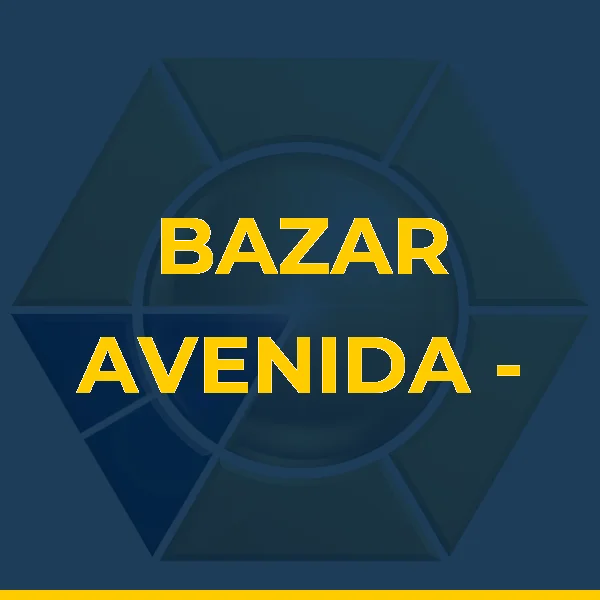 BAZAR AVENIDA - Loja do Sr. Floriano