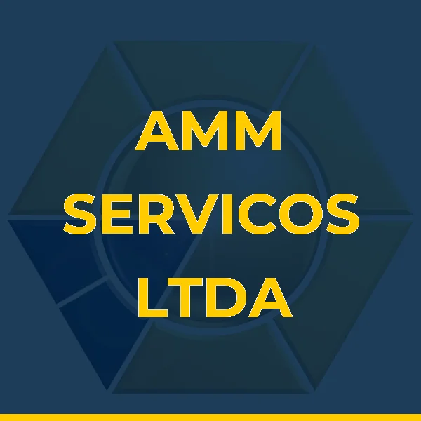 Logo de AMM SERVICOS LTDA