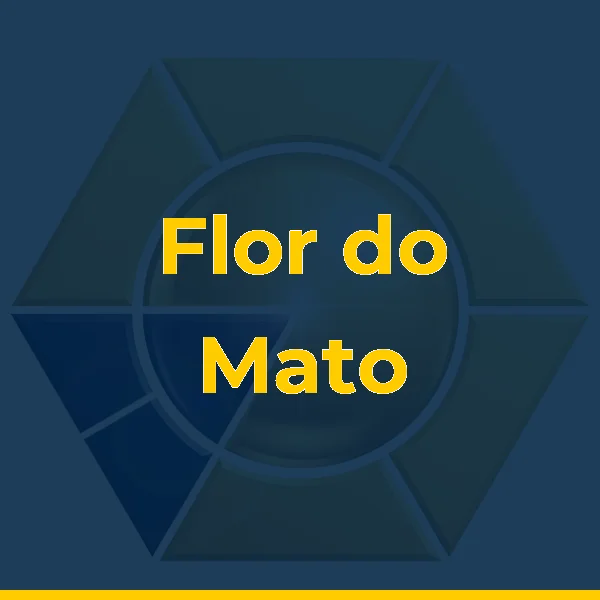Logo de Flor do Mato | Cantinho do Sabor