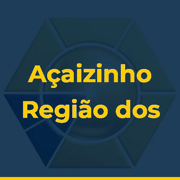 Açaizinho Região dos Lagos
