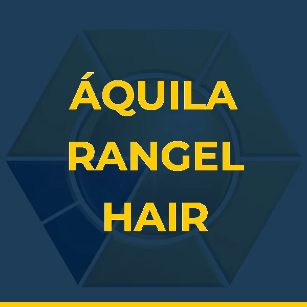 Logo de ÁQUILA RANGEL HAIR