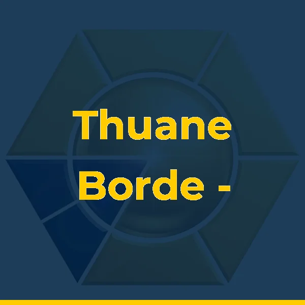 Logo de Thuane Borde - Estética Facial & Corporal em Teresópolis RJ