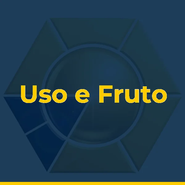 Logo de Uso e Fruto - Brechó
