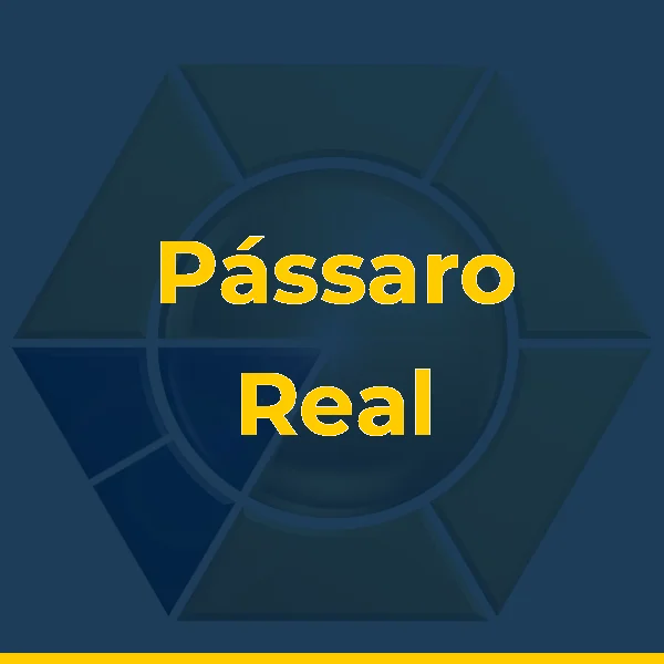 Logo de Pássaro Real