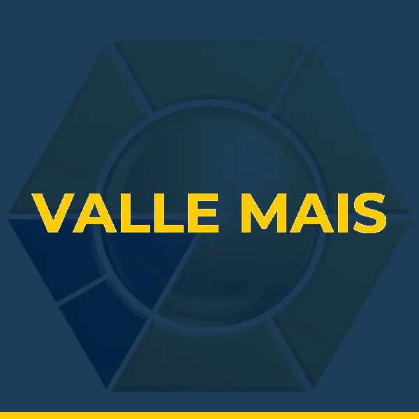 Logo de VALLE MAIS