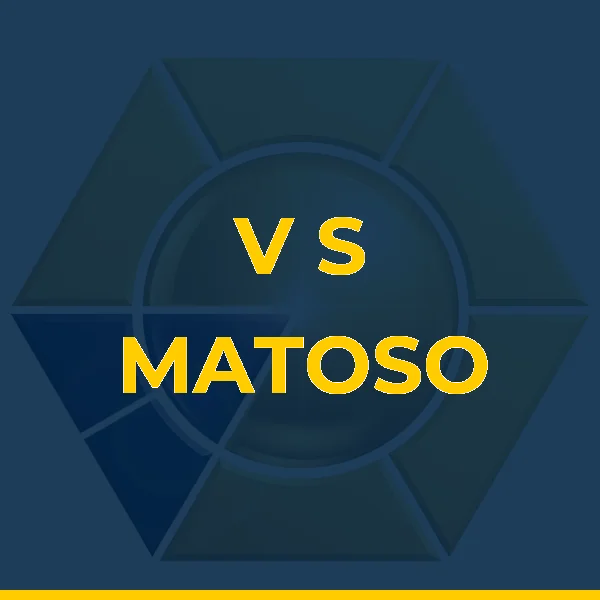 Logo de V S MATOSO COMERCIO E SERVICO
