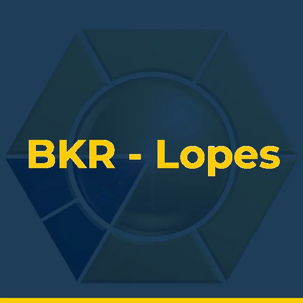 BKR - Lopes Machado Auditores