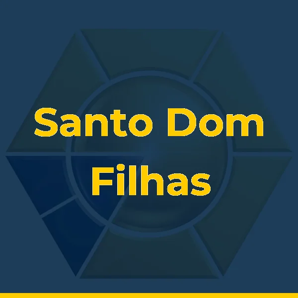 Logo de Santo Dom Filhas de Anna